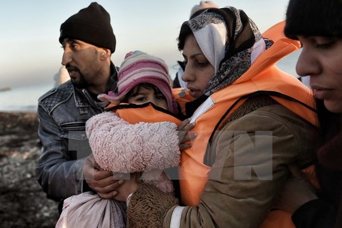 EC funds 3 billion euro for Turkey to deal with migrant crisis - ảnh 1